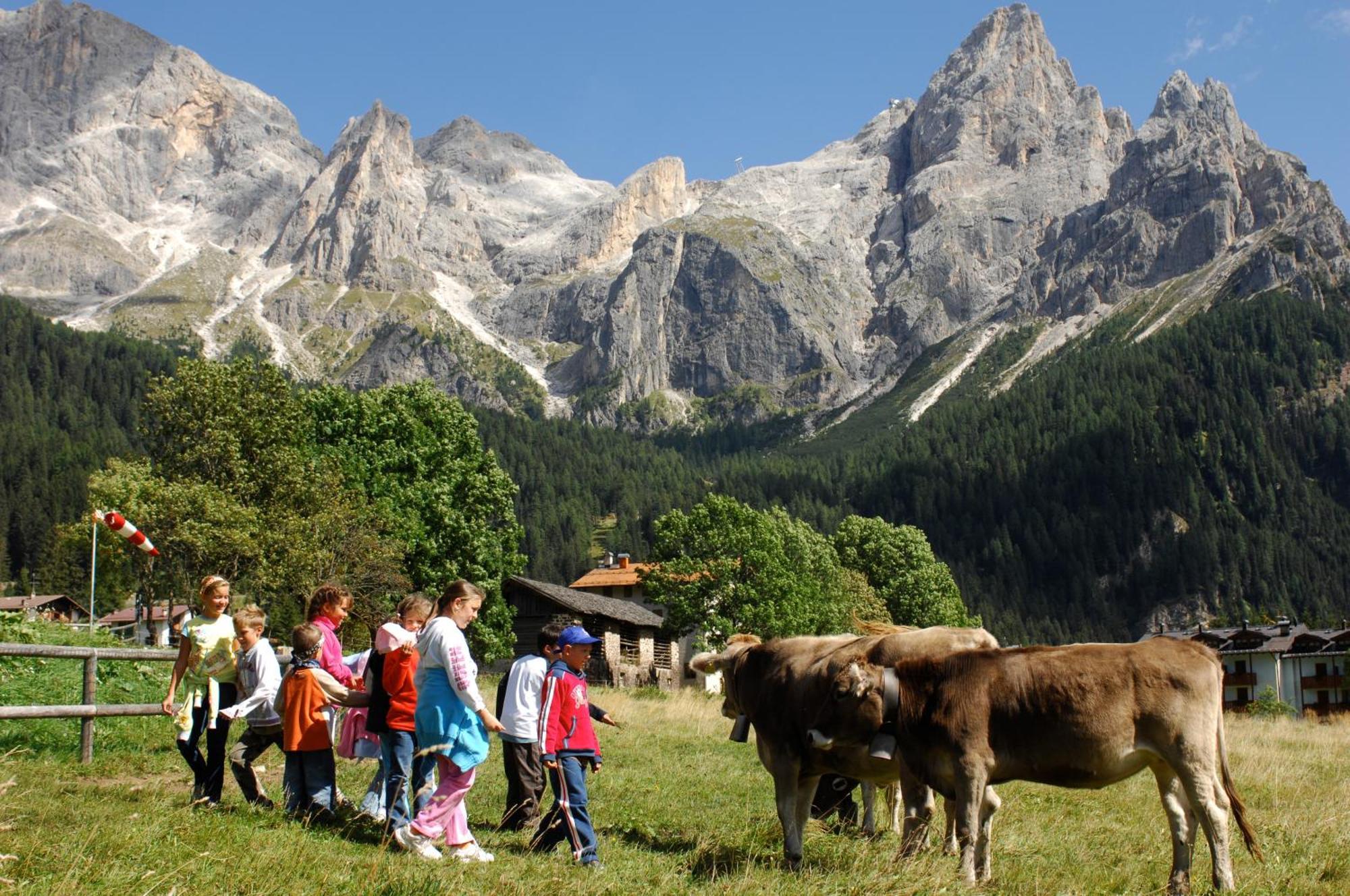 Sporting Aparthotel San Martino Di Castrozza Zewnętrze zdjęcie